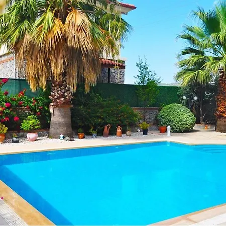 Primrose * Fethiye